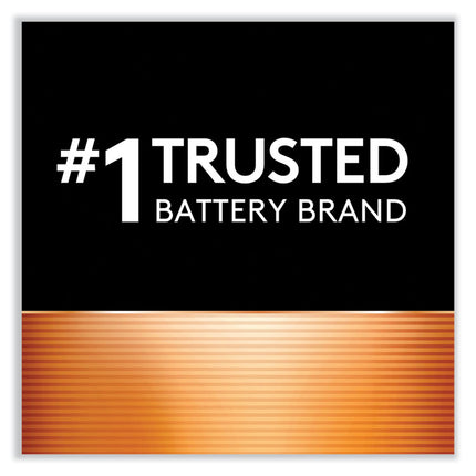 Power Boost CopperTop Alkaline AA Batteries, 2/Pack