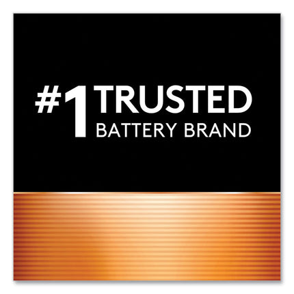 Power Boost CopperTop Alkaline AA Batteries, 10/Pack