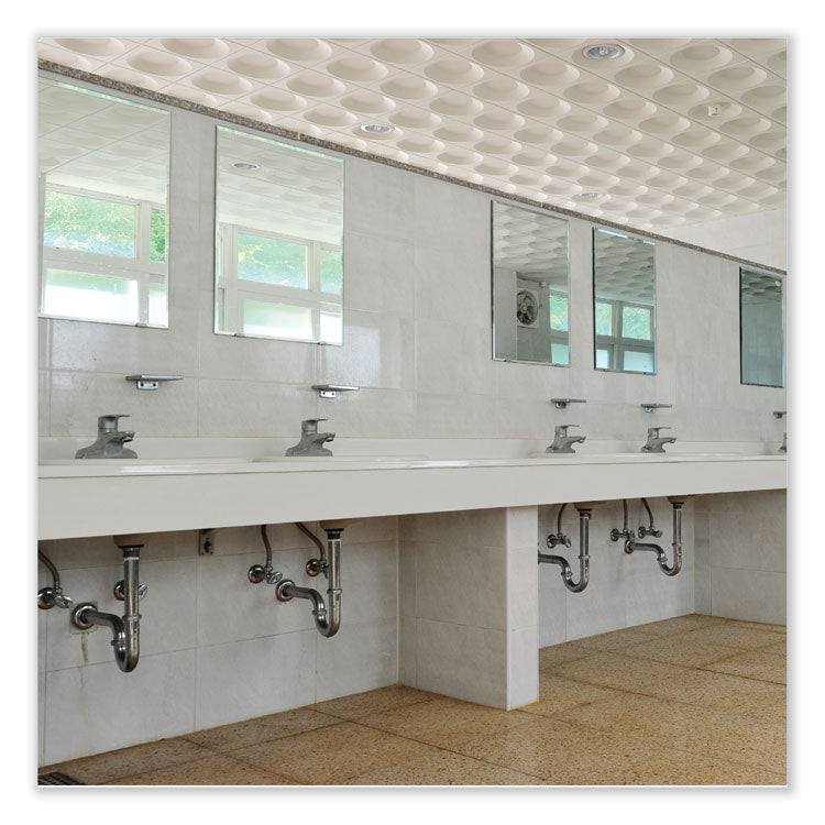 Bestscent Smoke And Odor Eliminator Aerosol, Fruit/floral Scent, 16 Oz Aerosol Can, 12/carton