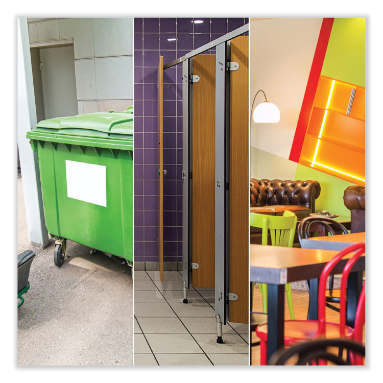 Bestscent Smoke And Odor Eliminator Aerosol, Fruit/floral Scent, 16 Oz Aerosol Can, 12/carton