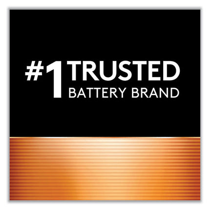 Power Boost CopperTop Alkaline AA Batteries, 224/Carton