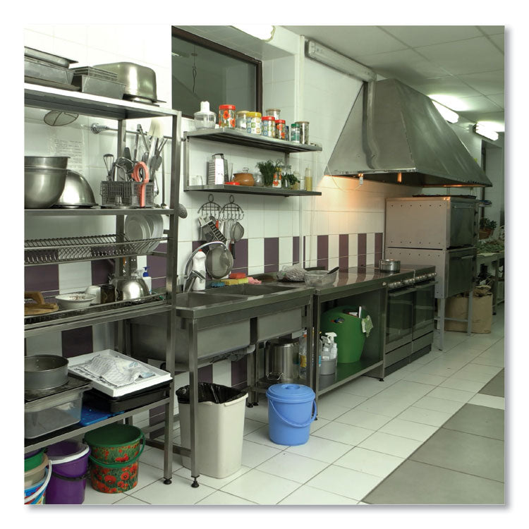 Sure Bet II Foaming Disinfectant, Citrus Scent, 1 gal Bottle, 4/Carton