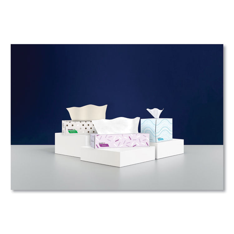 Select Flat Box Facial Tissue, 2-Ply, White, 100 Sheets/box, 30 Boxes/carton