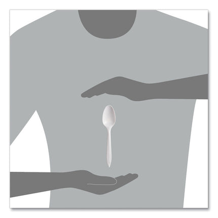 Regal Mediumweight Cutlery, Full-Size, Spoon, Plastic, White, 1,000/Carton