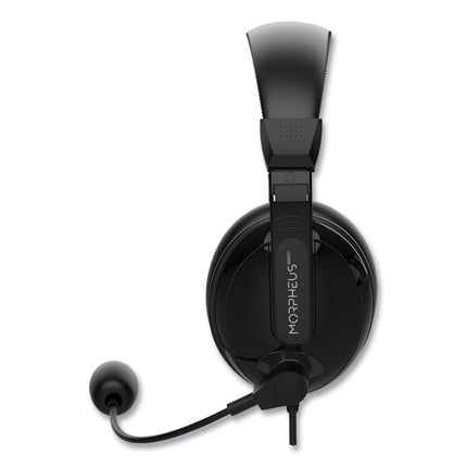 HS3000S Basic Multimedia Stereo Headset with Microphone