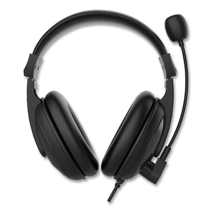 HS3000S Basic Multimedia Stereo Headset with Microphone