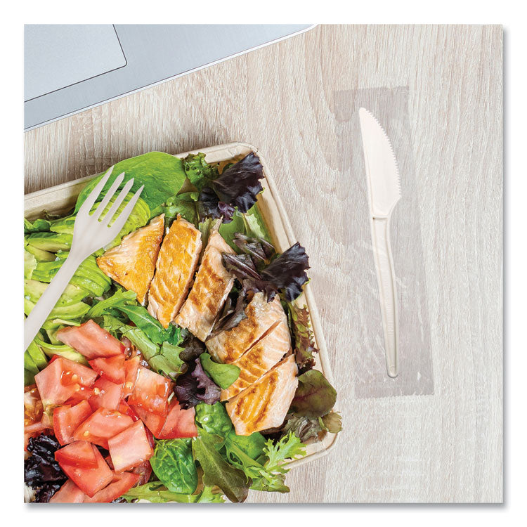 EcoSense Renewable Plant Starch Cutlery, Individually Wrapped, Mediumweight Knife, Plastic, Natural, 750/Carton