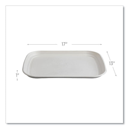 Regalia Sugarcane Servingware, Platter, 13 x 17, White, 100/Carton
