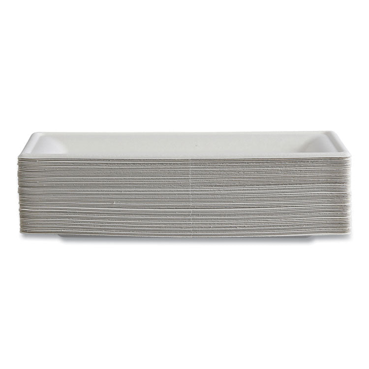 Vanguard Renewable and Compostable Sugarcane Plates, 5 x 10, White, 500/Carton