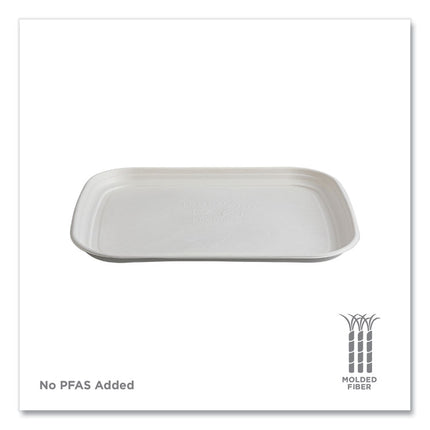 Regalia Sugarcane Servingware, Platter, 13 x 17, White, 100/Carton
