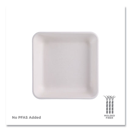 Vanguard Worldview Renewable and Compostable Sugarcane Take-Out Containers, 47 oz, 9 x 9 x 1.5, White, 200/Carton