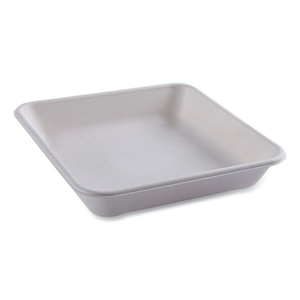 Vanguard Worldview Renewable and Compostable Sugarcane Take-Out Containers, 47 oz, 9 x 9 x 1.5, White, 200/Carton