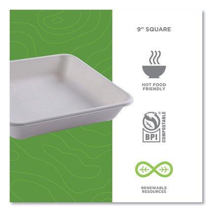 Vanguard Worldview Renewable and Compostable Sugarcane Take-Out Containers, 47 oz, 9 x 9 x 1.5, White, 200/Carton