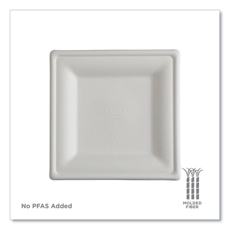 Vanguard Renewable and Compostable Sugarcane Plates, 10 x 10, White, 250/Carton