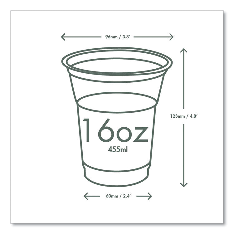 96-Series Cold Cup, 16 oz, Plastic, Clear/Green, 1,000/Carton