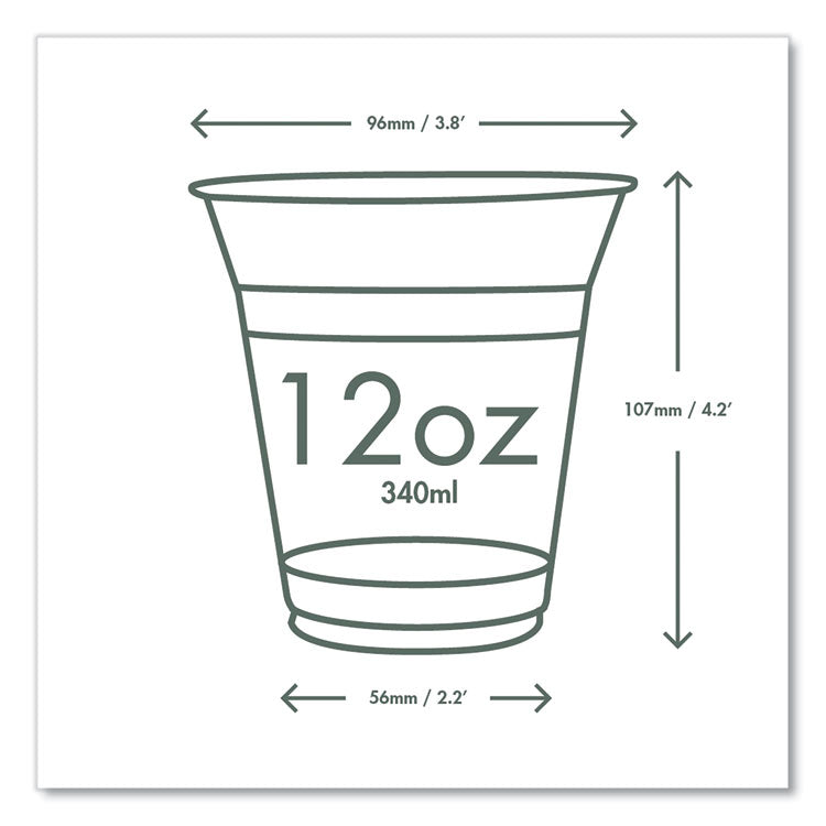 96-Series Cold Cup, 12 oz, Plastic, Clear/Green, 1,000/Carton