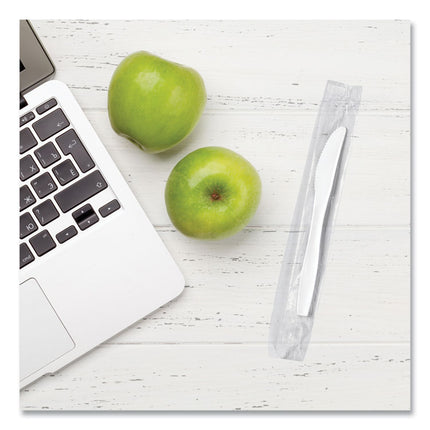 Regal Mediumweight Cutlery, Individually Wrapped, Knife, Plastic, White, 1,000/Carton