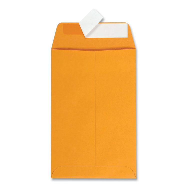 Redi-Strip Catalog Envelope, #1, Cheese Blade Flap, Redi-Strip Adhesive Closure, 6 x 9, Brown Kraft, 100/Box