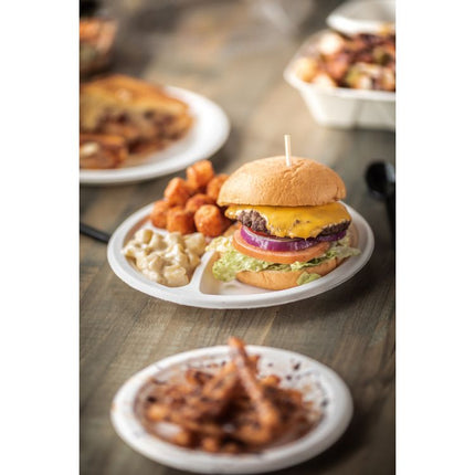 EarthChoice PFAS Free Compostable Dinnerware, Plate, Sugarcane, 9" dia, Natural, 500/Carton