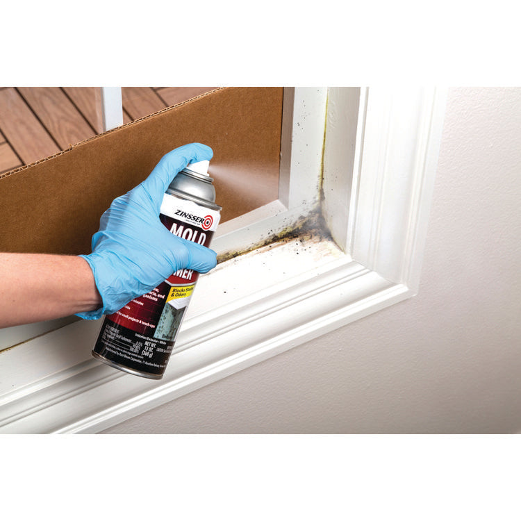 Mold Blocking Primer Spray, Interior/Exterior, Flat White, 13 oz Aerosol Can, 6/Carton