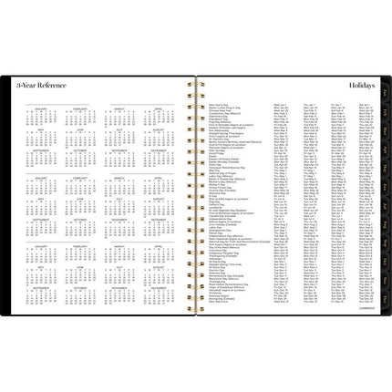 Radiate Weekly/Monthly Planner, Stylized Solar-Eclipse Artwork, 11 x 9.25, Black/Gold Cover, 12-Month (Jan to Dec): 2025