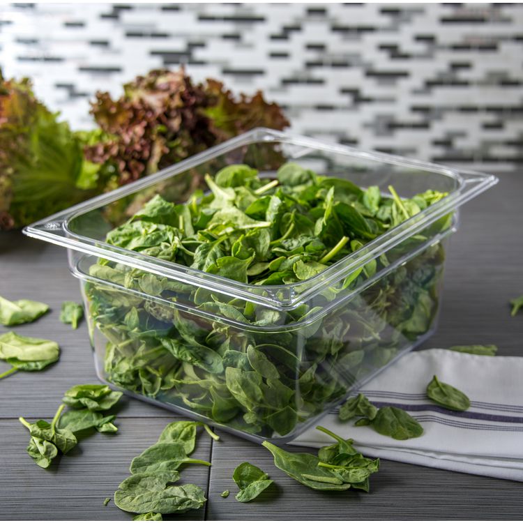 StorPlus Polycarbonate Food Pan, 8.7 qt, 10.38 x 12.75 x 6, Clear, Plastic