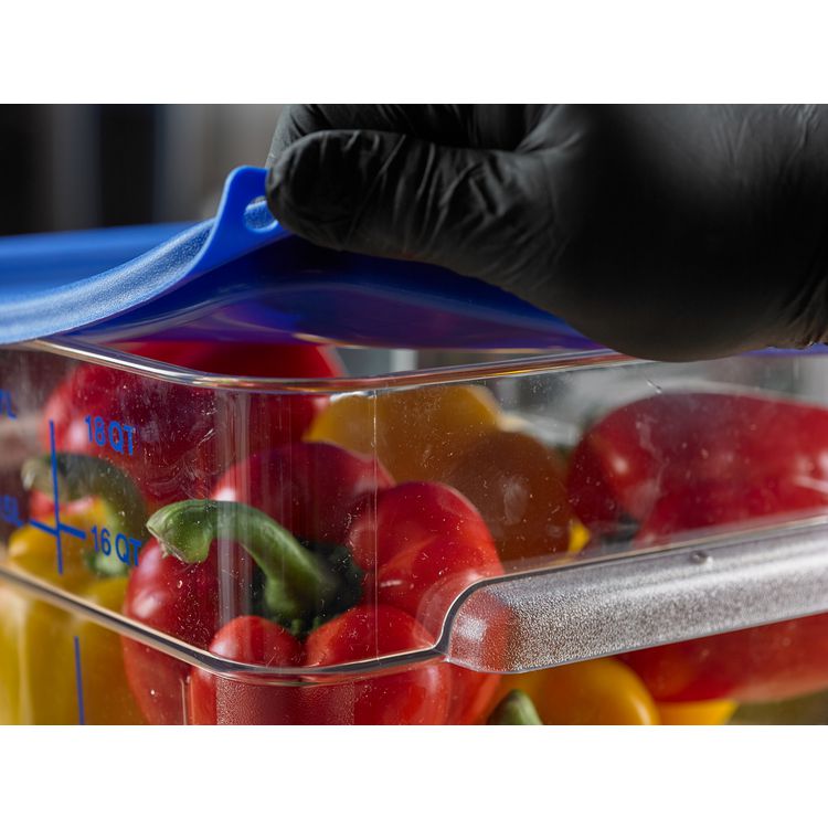 Squares Food Storage Container Lid, 11.38 x 11.38 x 0.63, Blue, Plastic
