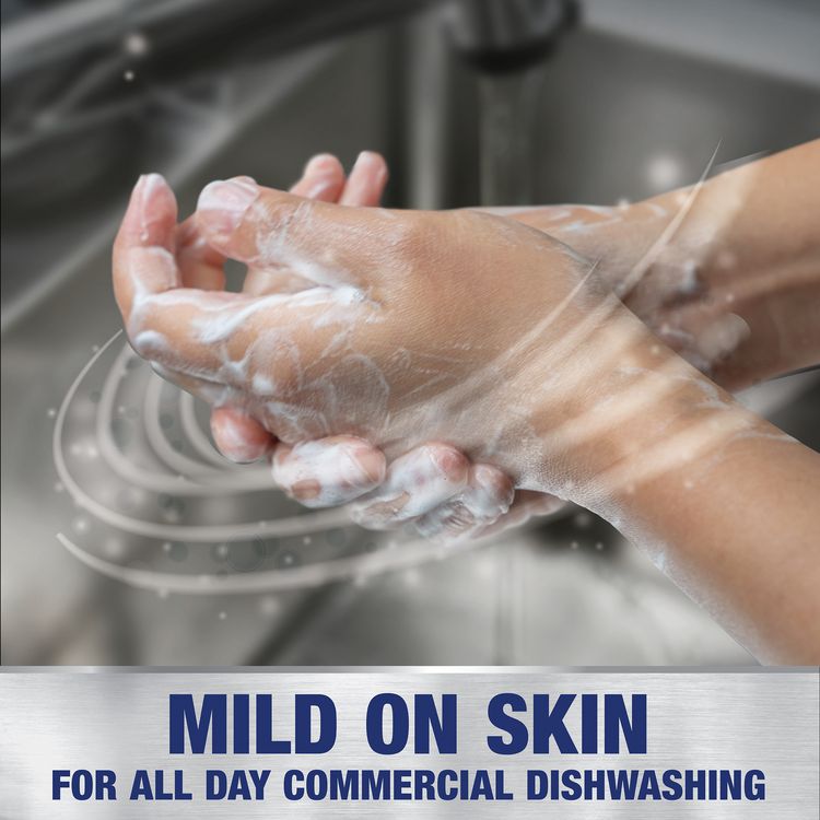 Manual Pot and Pan Dish Detergent with Pump, Original Scent, (1) Pump and (2) 1 gal Bottles/Carton