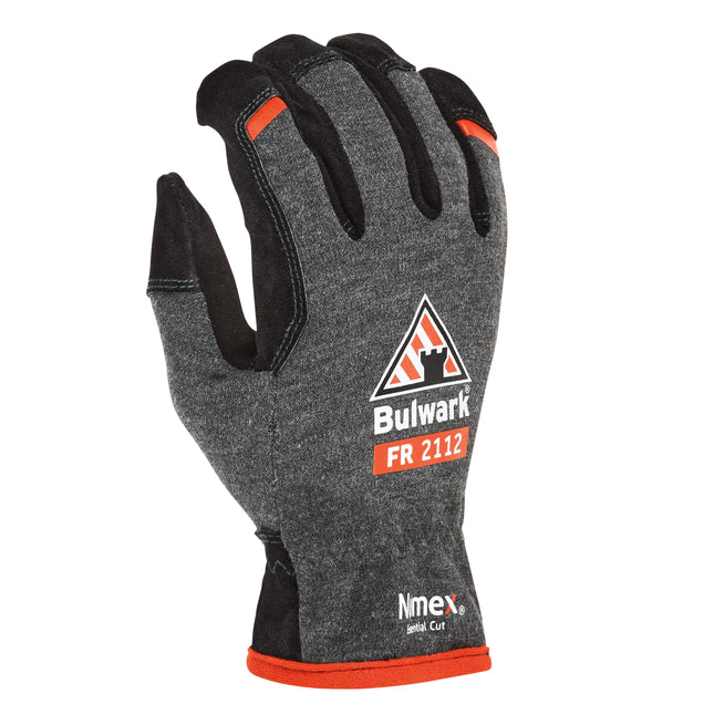 Bulwark® iQ Series Advantage® Shield 100 / GS100C